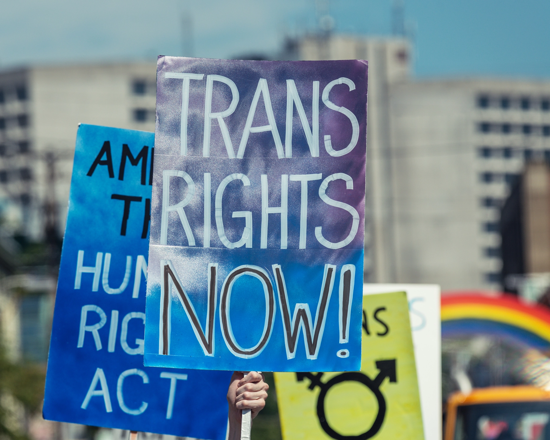 Protest signs advocating for transgender rights, with the prominent message 'TRANS RIGHTS NOW!